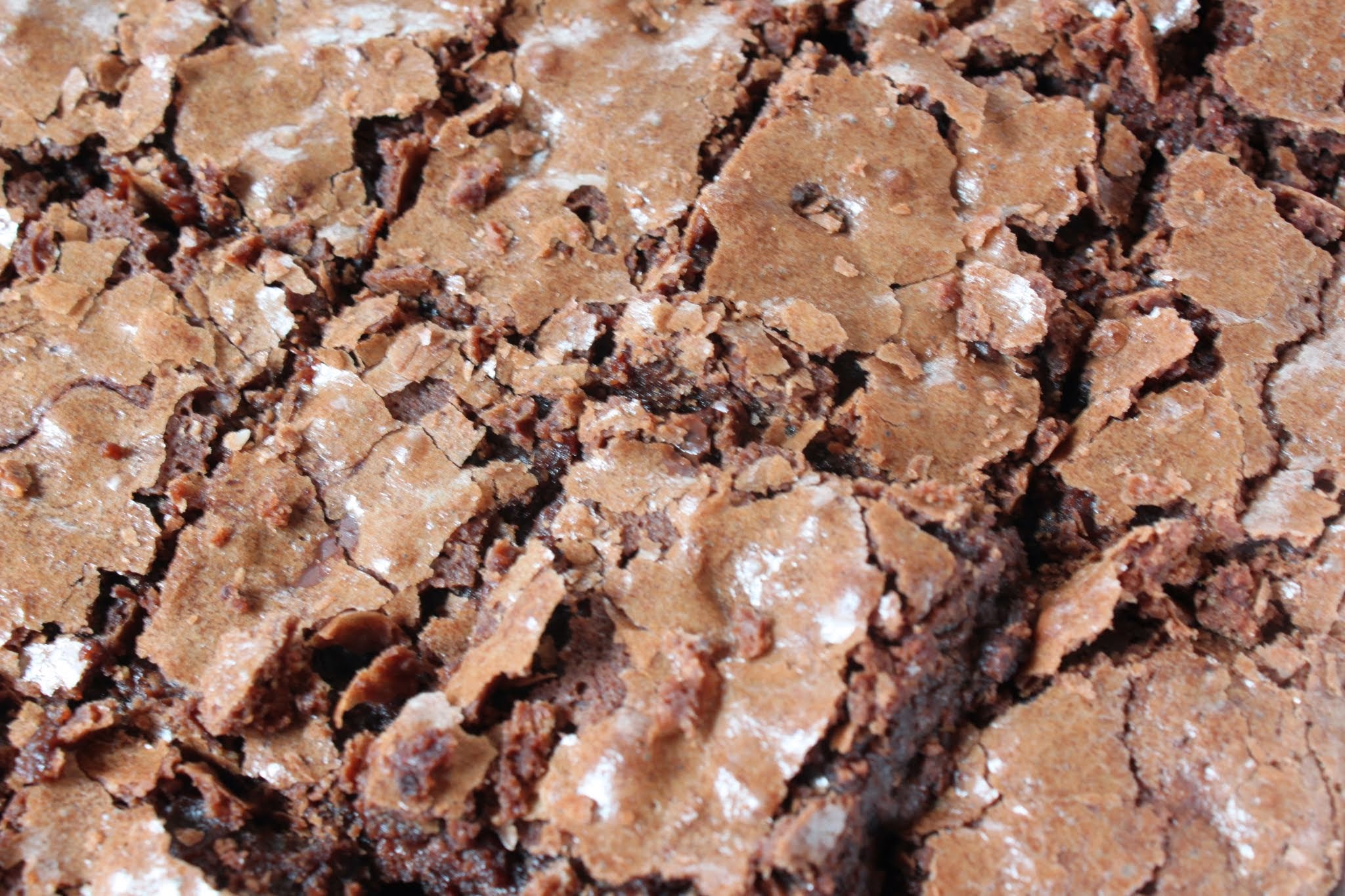 Fudgy Passover Brownies