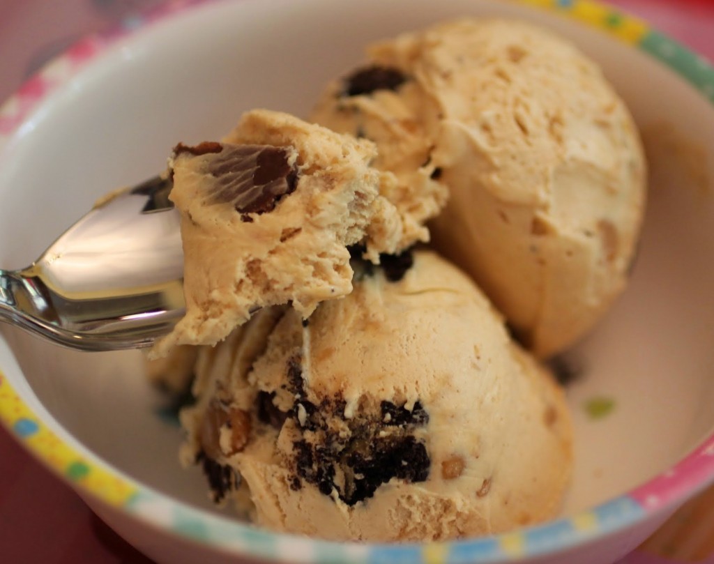 Peanut Butter Overload Ice Cream