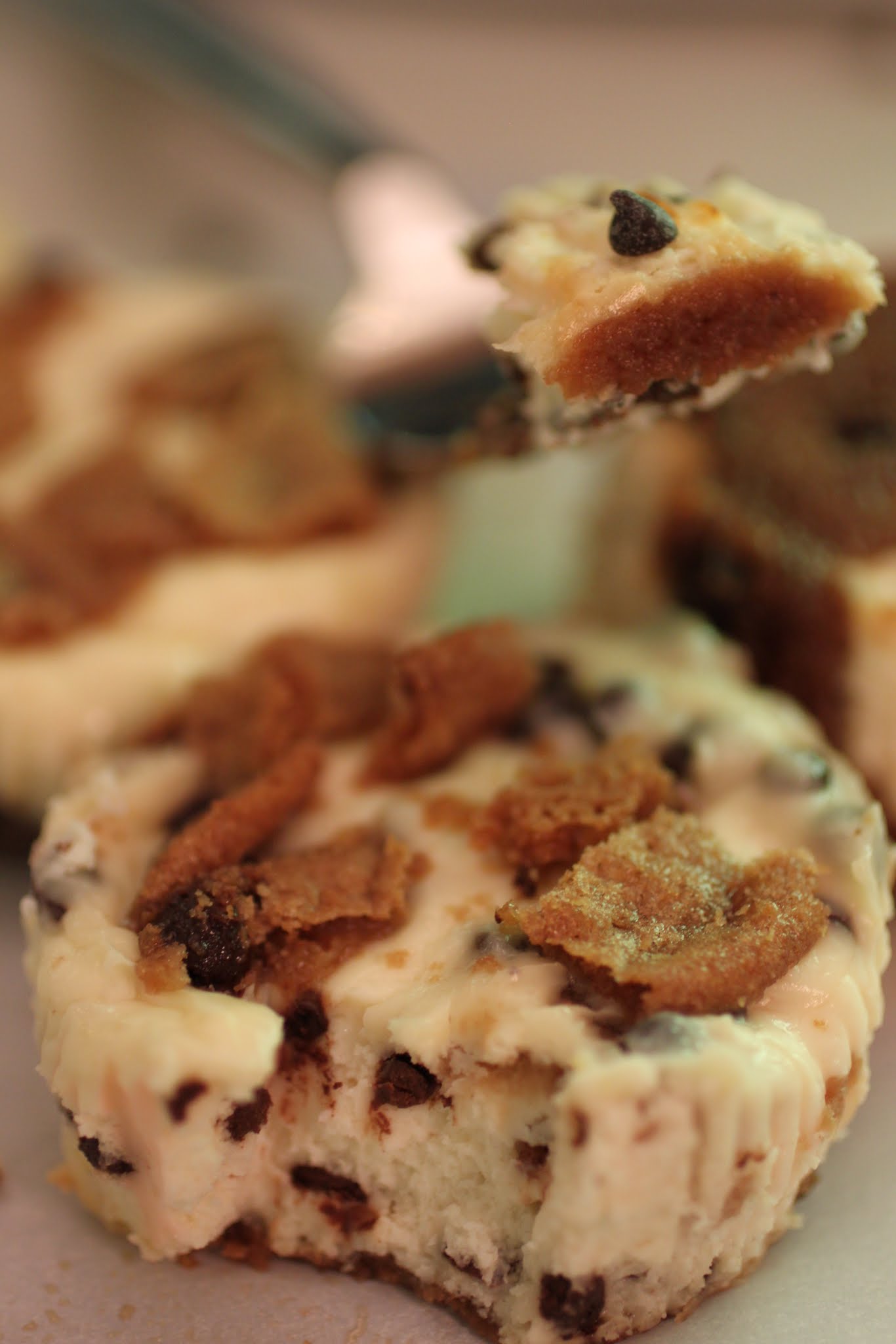 Chocolate Chip Cookie Chip Mini-Cheesecakes