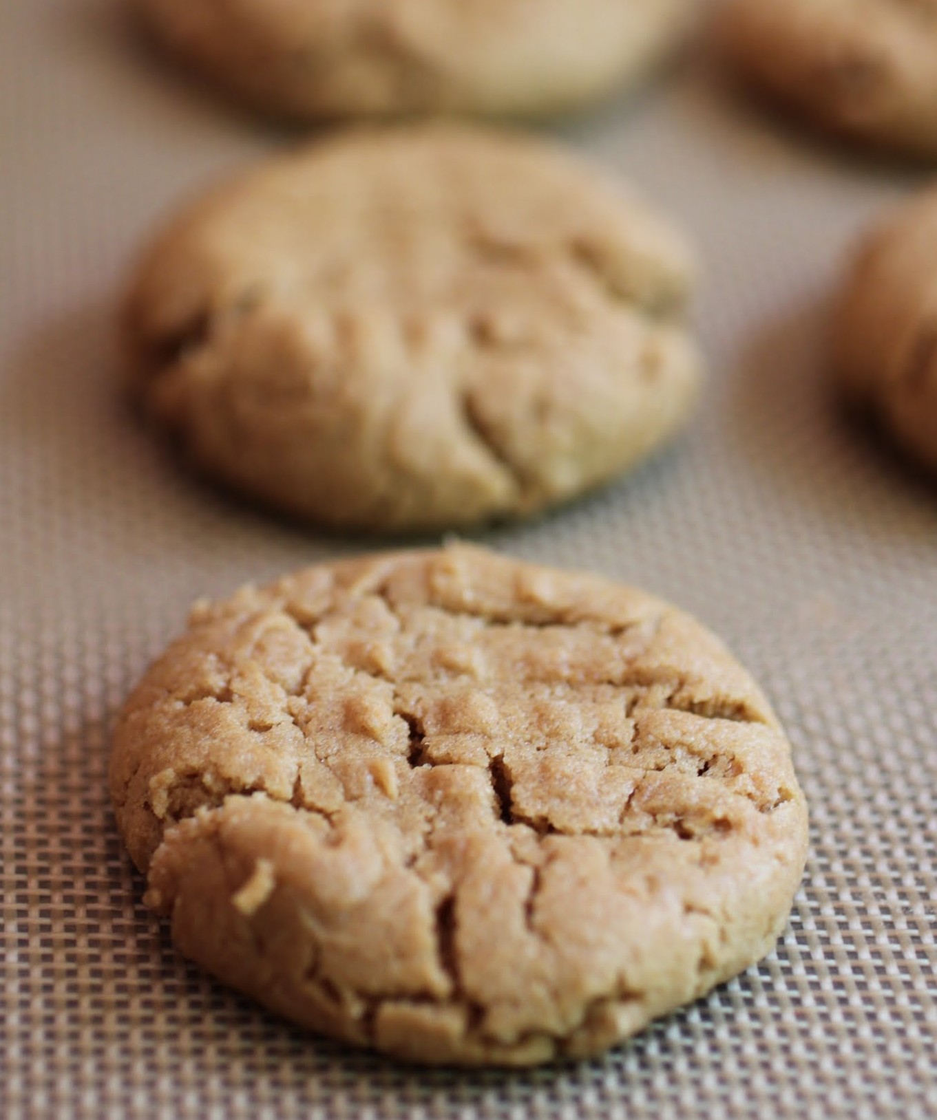 The Best Vegan, Gluten-Free PB Cookies