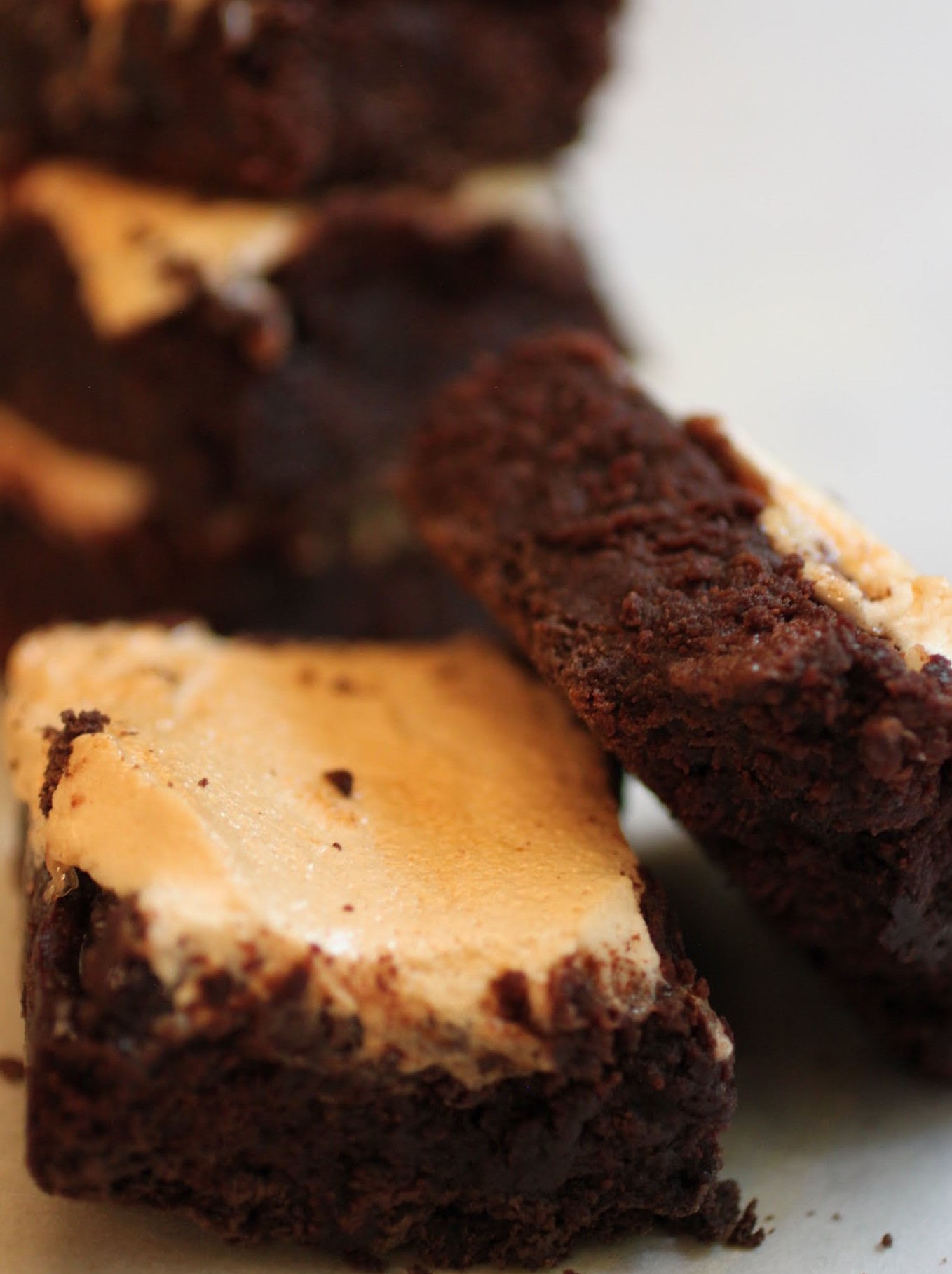 Triple Chocolate S'more Brownies