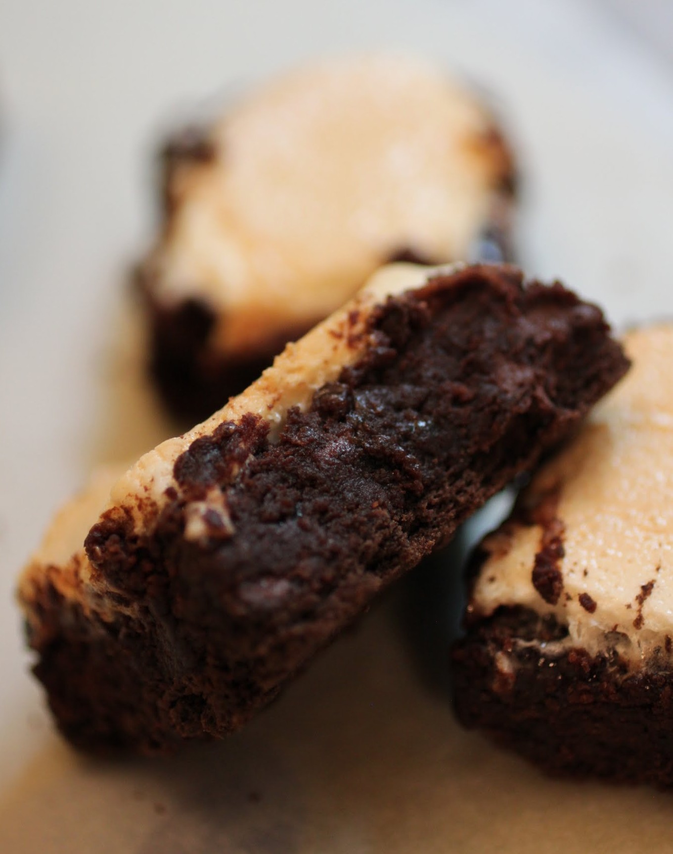 Triple Chocolate S'more Brownies