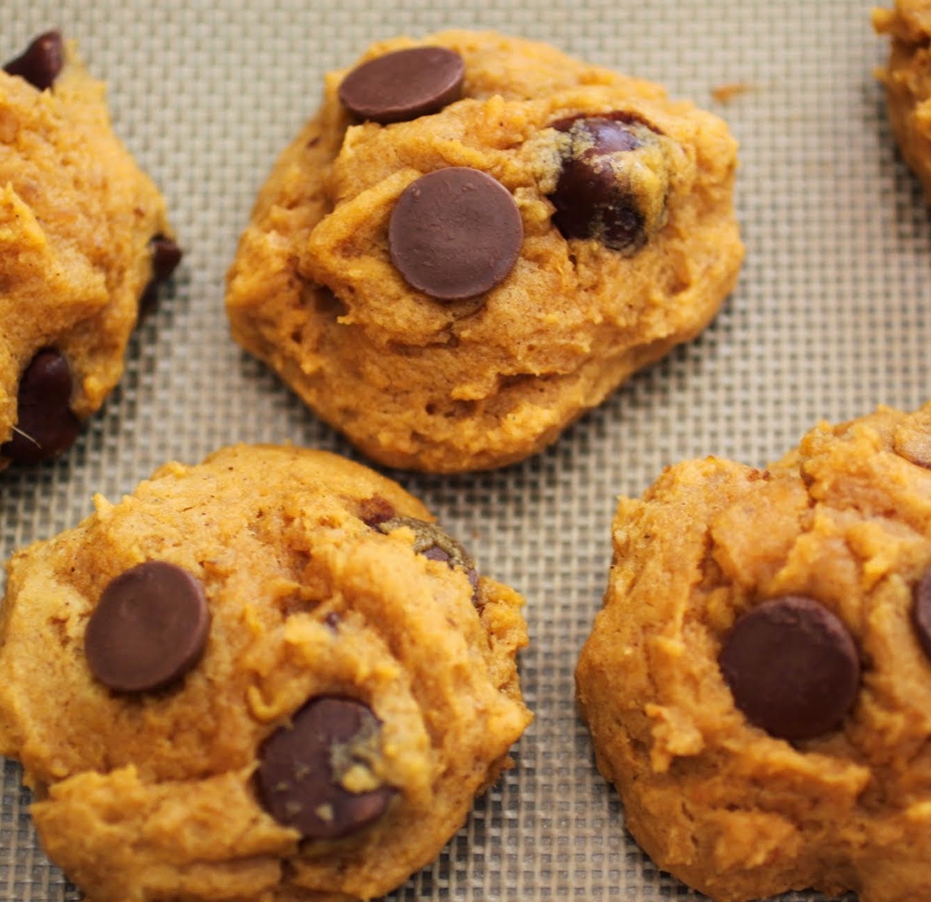 Chocolate Caramel Chip Pumpkin Cookies | Just About Baked